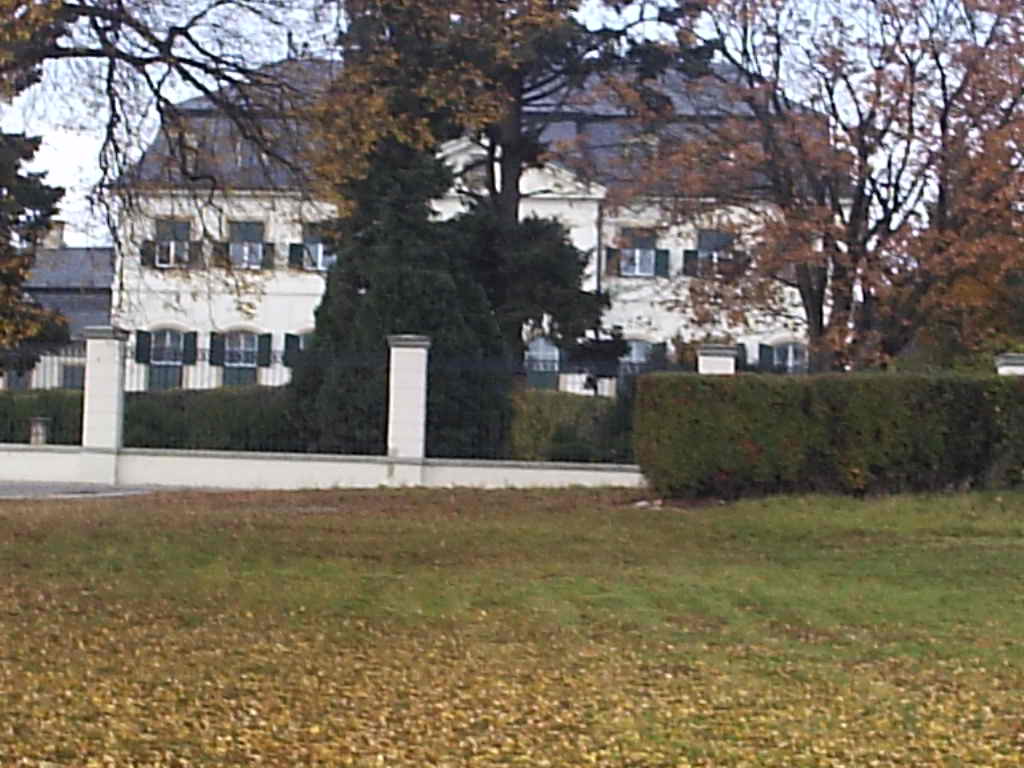 P1012440.JPG